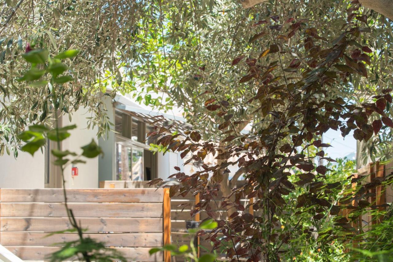 Casa Dina Apartment Лефкада Екстериор снимка